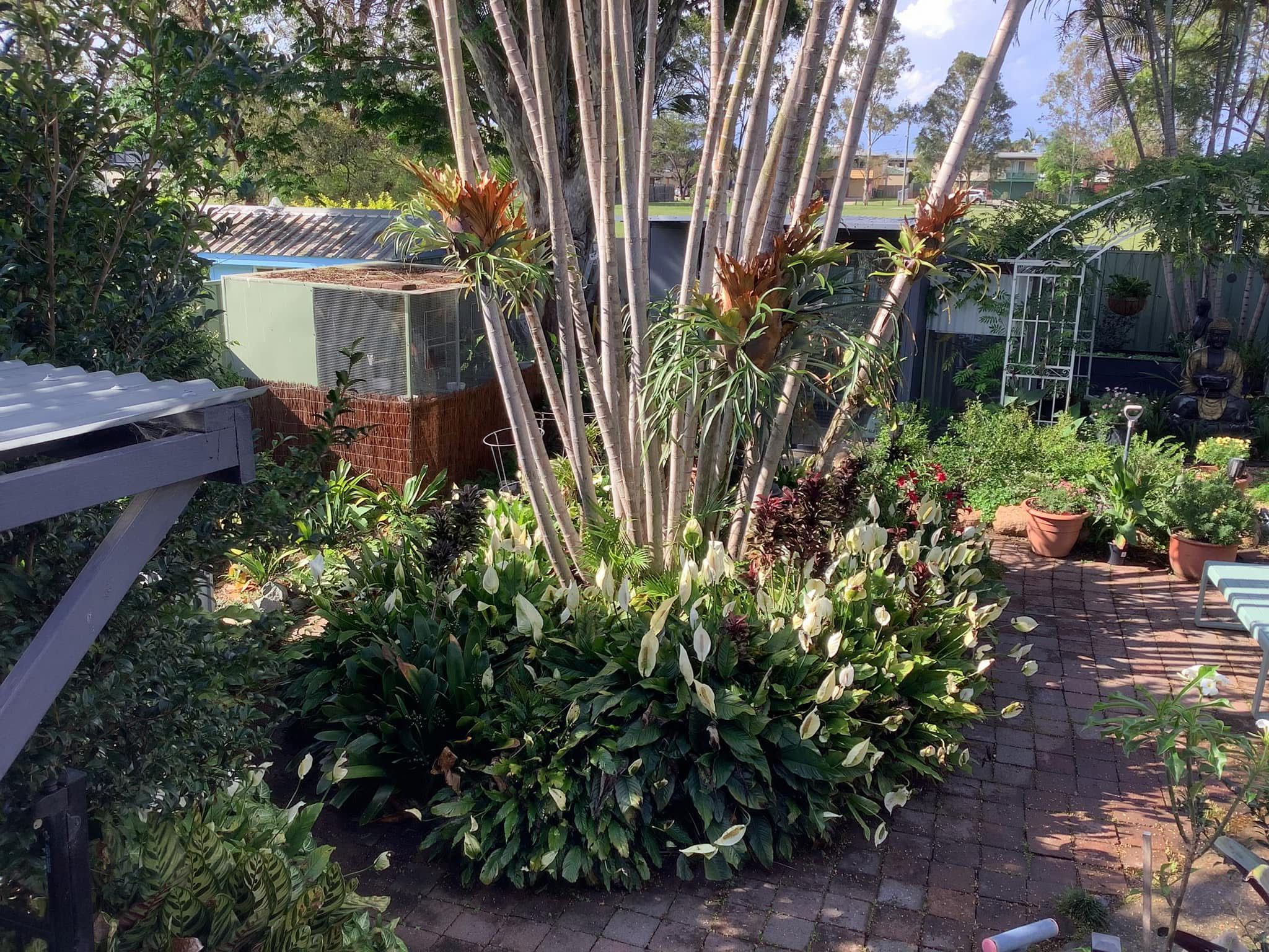 Garden Community Photo